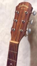 Aria Dreadnought AF-201_5