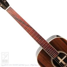 Santa Cruz H Model Custom Sinker Redwood_5
