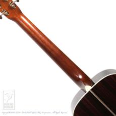 Santa Cruz H Model Custom Sinker Redwood_6