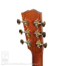 Santa Cruz H Model Custom Sinker Redwood_8