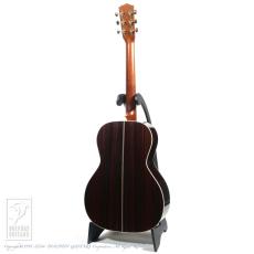 Santa Cruz H Model Custom Sinker Redwood_13