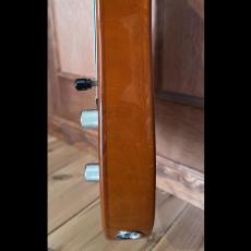 Fender Player Ⅱ Telecaster Mocha Chambered Mahogany_4