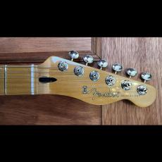 Fender Player Ⅱ Telecaster Mocha Chambered Mahogany_5