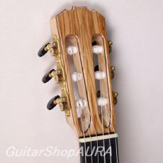 Paul Sheridan　[ポール・シェリダン] ラティスブレイシング　No.256 8/25_3