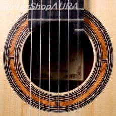 Paul Sheridan　[ポール・シェリダン] ラティスブレイシング　No.256 8/25_4