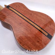 Paul Sheridan　[ポール・シェリダン] ラティスブレイシング　No.256 8/25_6