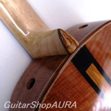 Paul Sheridan　[ポール・シェリダン] ラティスブレイシング　No.256 8/25_7