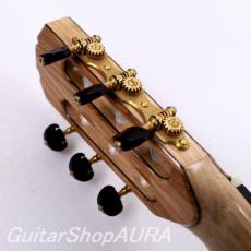 Paul Sheridan　[ポール・シェリダン] ラティスブレイシング　No.256 8/25_8