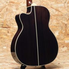 Takamine DMP761C N_2