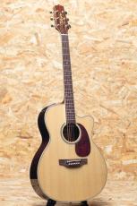 Takamine DMP761C N_3