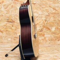 Takamine DMP761C N_4
