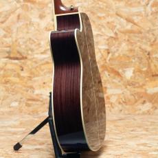 Takamine DMP761C N_5