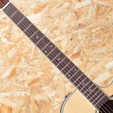 Takamine DMP761C N_6