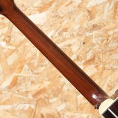 Takamine DMP761C N_7