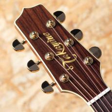 Takamine DMP761C N_8