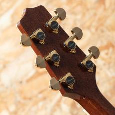 Takamine DMP761C N_9