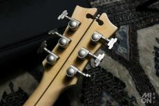 D'Angelico Deluxe Bedford SH Limited Edition Rust 2021_7