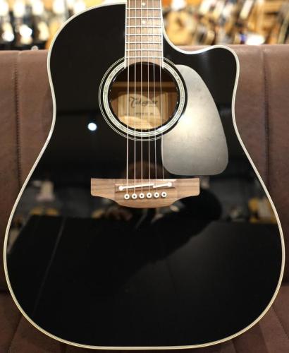 Takamine FPT861C BL 【憧れのブラックボディ】【ラウンドショルダータイプ】