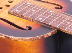 Republic Guitars Parlor Size Miniolian Sunburst / Diamond cone cover_10