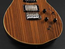 Godin xtSA Rosewood ~Natural~_6