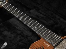 Godin xtSA Rosewood ~Natural~_8