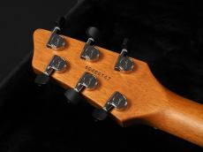Godin xtSA Rosewood ~Natural~_9