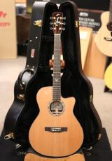 Morris 【OUTLET SALE!】 S-102Ⅲ #2310038 【ディープラウドバック×ベネチアン・カッタウェイ】