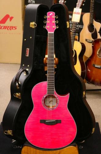 Morris 【OUTLET SALE!】 TC-16/SPK #2411020 【フローレンタイン・カッタウェイ×シースルーピンク】