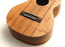 Kamaka 【動画あり】HF-3 ♯230340【軽快そして奥行きのある魅力的なサウンド!】【テナー/ハワイアンコア単板】_4