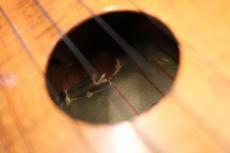 Kamaka 【1950年代Vintage品】Soprano【下取品大歓迎!】【48回無金利対象商品!】_17