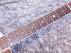 Republic Guitars Style-O type 12Fret-Joint Polished Nickel Finish w/Electro Plate Pickup_6