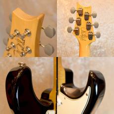 Paul Reed Smith [PRS] Silver Sky_3