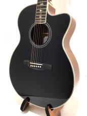 Paul Reed Smith [PRS] SE A20E BX  Black Top