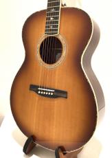 Paul Reed Smith [PRS] SE T40E TS