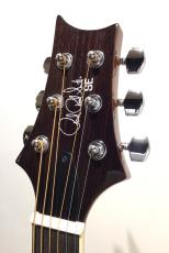 Paul Reed Smith [PRS] SE T40E TS_3