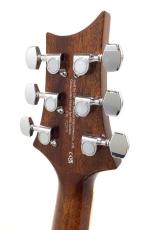 Paul Reed Smith [PRS] SE T40E TS_7