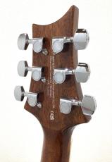 Paul Reed Smith [PRS] SE A40E TS_5