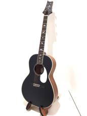 Paul Reed Smith [PRS] SE P20_2