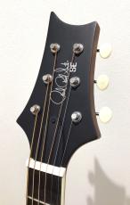 Paul Reed Smith [PRS] SE P20_3