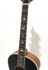 Paul Reed Smith [PRS] SE P20_4