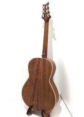 Paul Reed Smith [PRS] SE P20_6