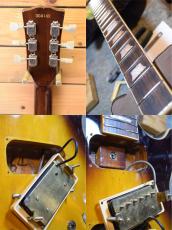 Aria Pro II LS-500D/BS/Dimarzio PU_5