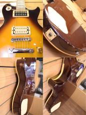 Aria Pro II LS-500D/BS/Dimarzio PU_6