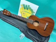 Martin STYLE-1T