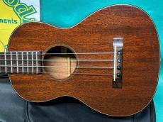 Martin STYLE-1T_2