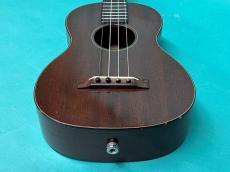 Martin STYLE-1T_11