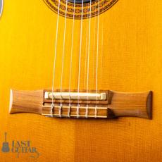 Gibson Chet Atkins CE ’96_3