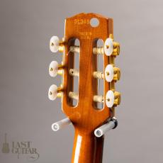 Gibson Chet Atkins CE ’96_7