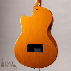 Gibson Chet Atkins CE ’96_9