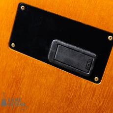 Gibson Chet Atkins CE ’96_10